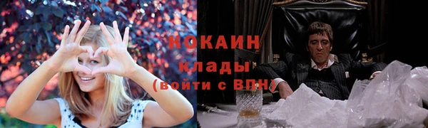 молекула духа Осинники