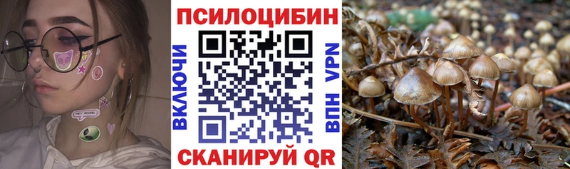 купить Андреаполь Галлюциногенные грибы Magic Shrooms